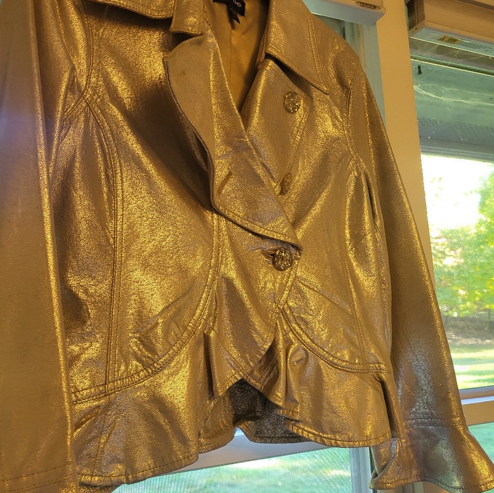 Metallic Silver Jacket - image 6
